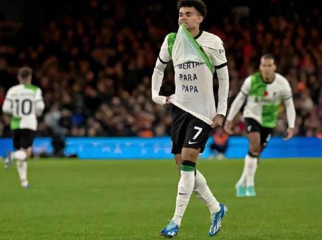 三级全黄的视频