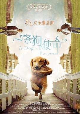 桑葚